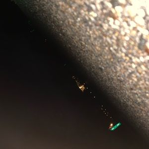 Meet your Posher, Shane